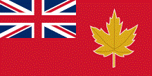 bandera propuesta por el Comité en 1946