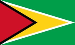 bandera de guyana
